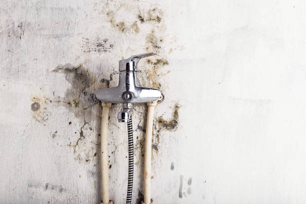 Mold Testing and Removal in Lake Lure, NC