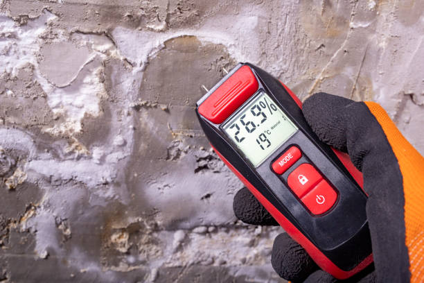 Best Commercial Mold Removal  in Lake Lure, NC
