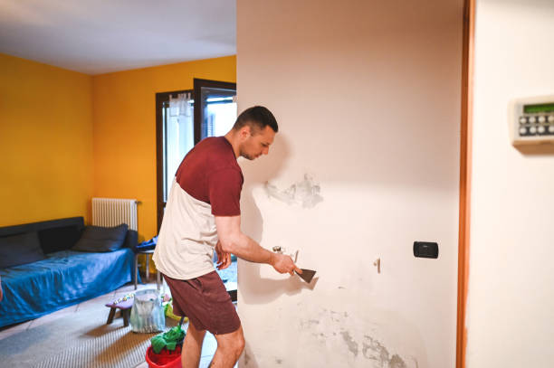 Best Attic Mold Removal  in Lake Lure, NC