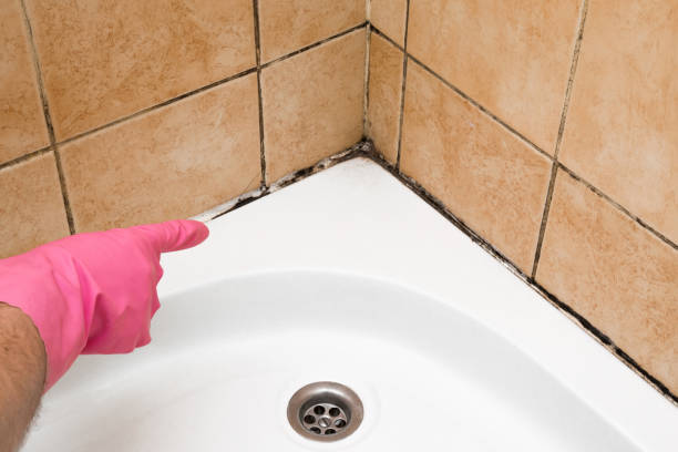 Best Mold Cleaning Services  in Lake Lure, NC